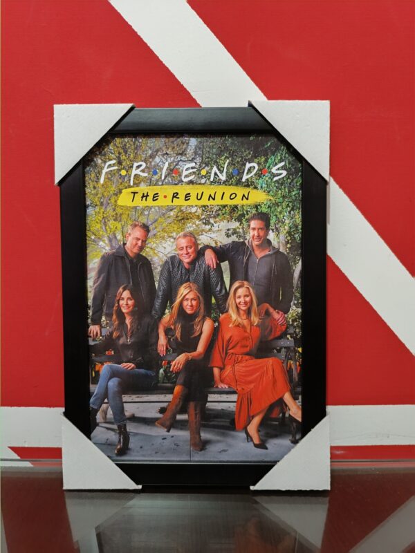 serie friends the reunion