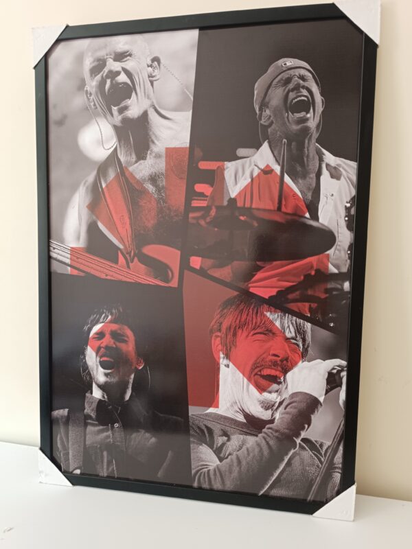 quadro red hot chilli peppers rhcp