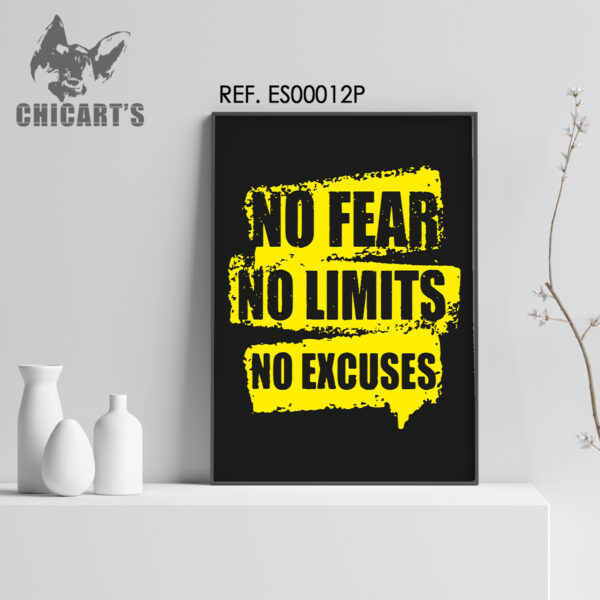 quadro no fear no limits no excuses